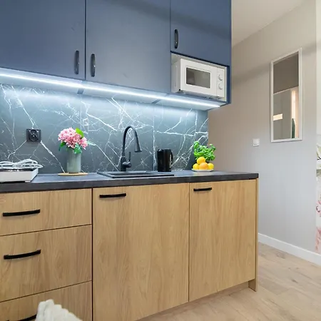 Apartament Ministudios Ursus *